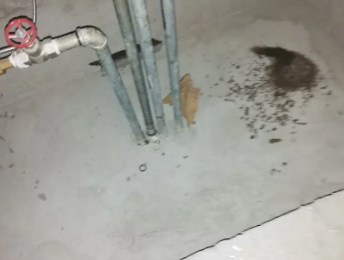 贡觉卫生间测漏水价格明细